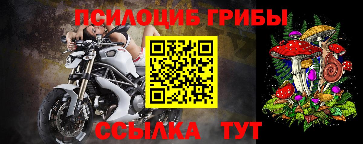 Псилоцибиновые грибы мицелий  Вход с VPN  Солнечногорск 